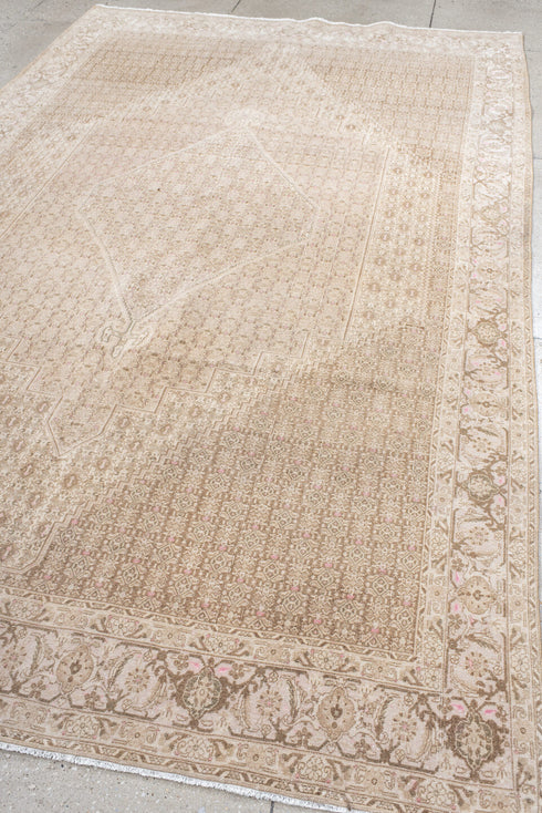 Antique Bidjar Area Rug (6' x 10')
